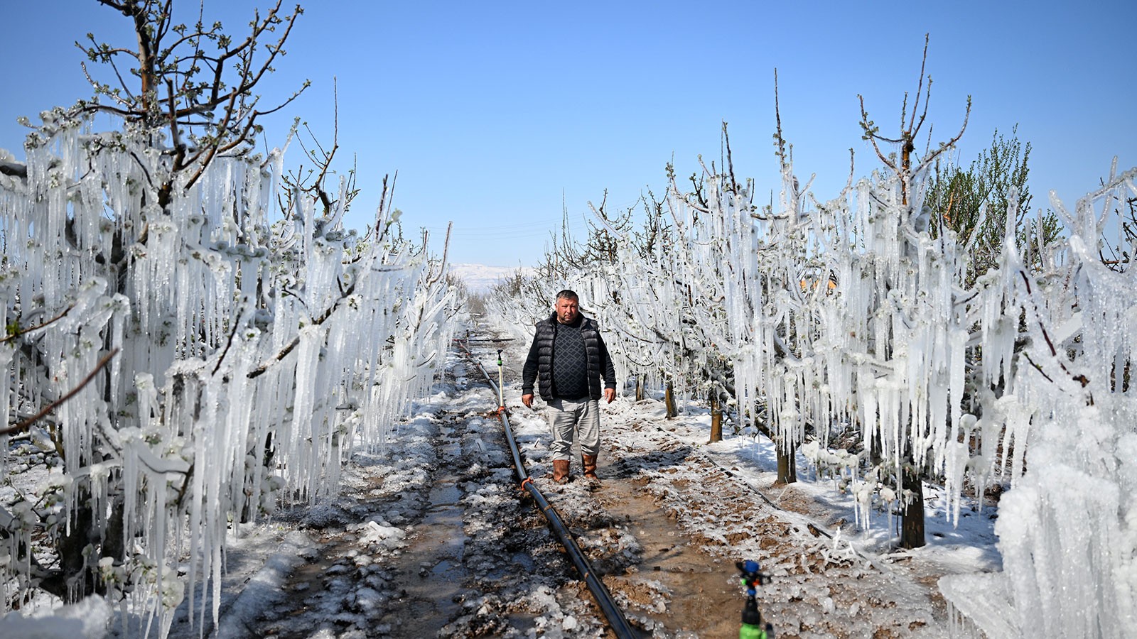 TZOB President Bayraktar'dan 'Agricultural Don' Call: Cash assistance, input support, debt postponement, new loans ...