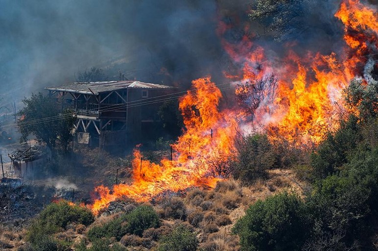 SINGLE RESPONSE SATELLITE SUPPORT SYSTEMS - Picture: 2