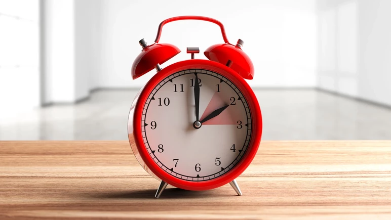 Can Türkiye be a model for the EU? Discussion of setting clocks - Picture: 2