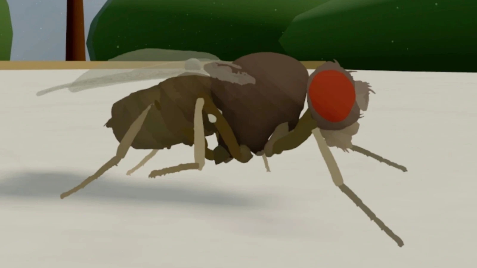 An exact copy of a real brain was run on a computer; discussions started