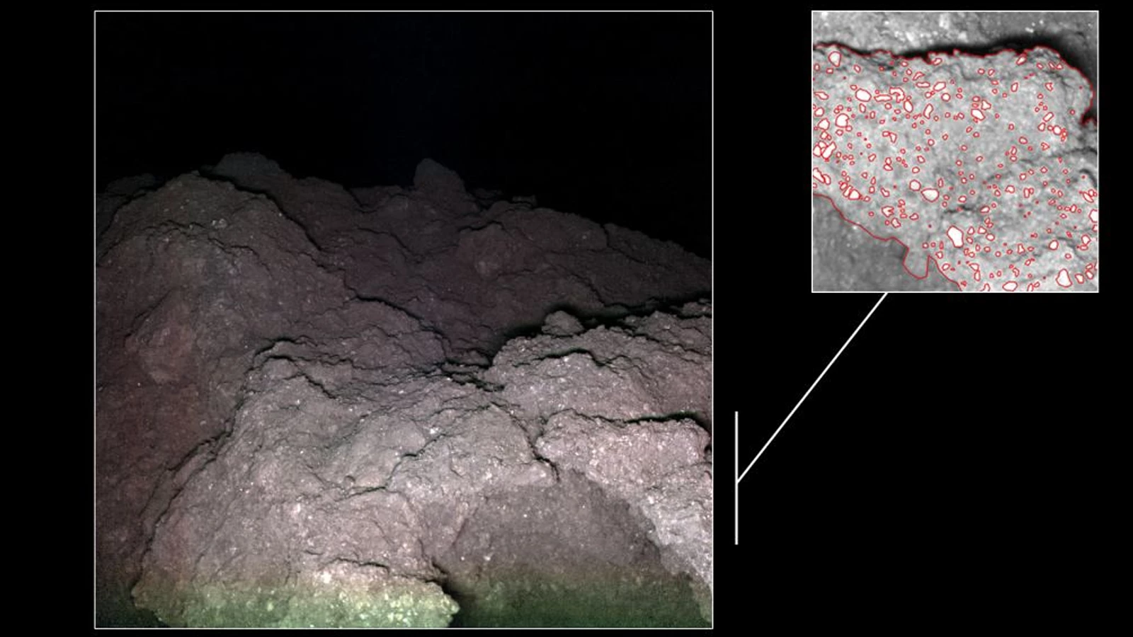 Basic building blocks of life discovered on asteroid Ryugu