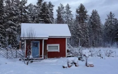 Drone with warhead crashed in Finland