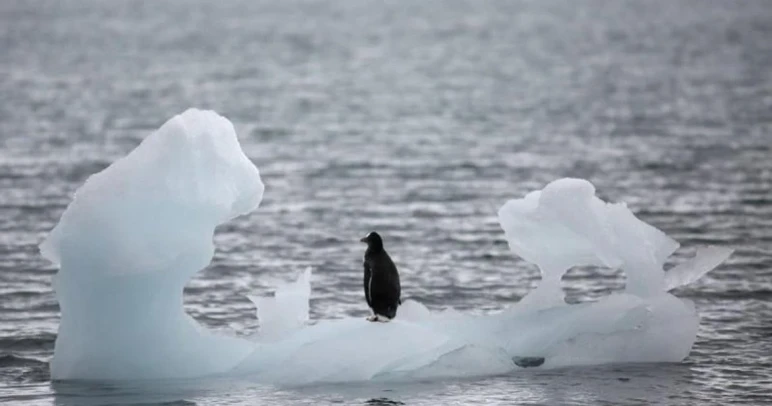 Frightening melting in the Arctic! Will Türkiye be submerged? - Picture: 2