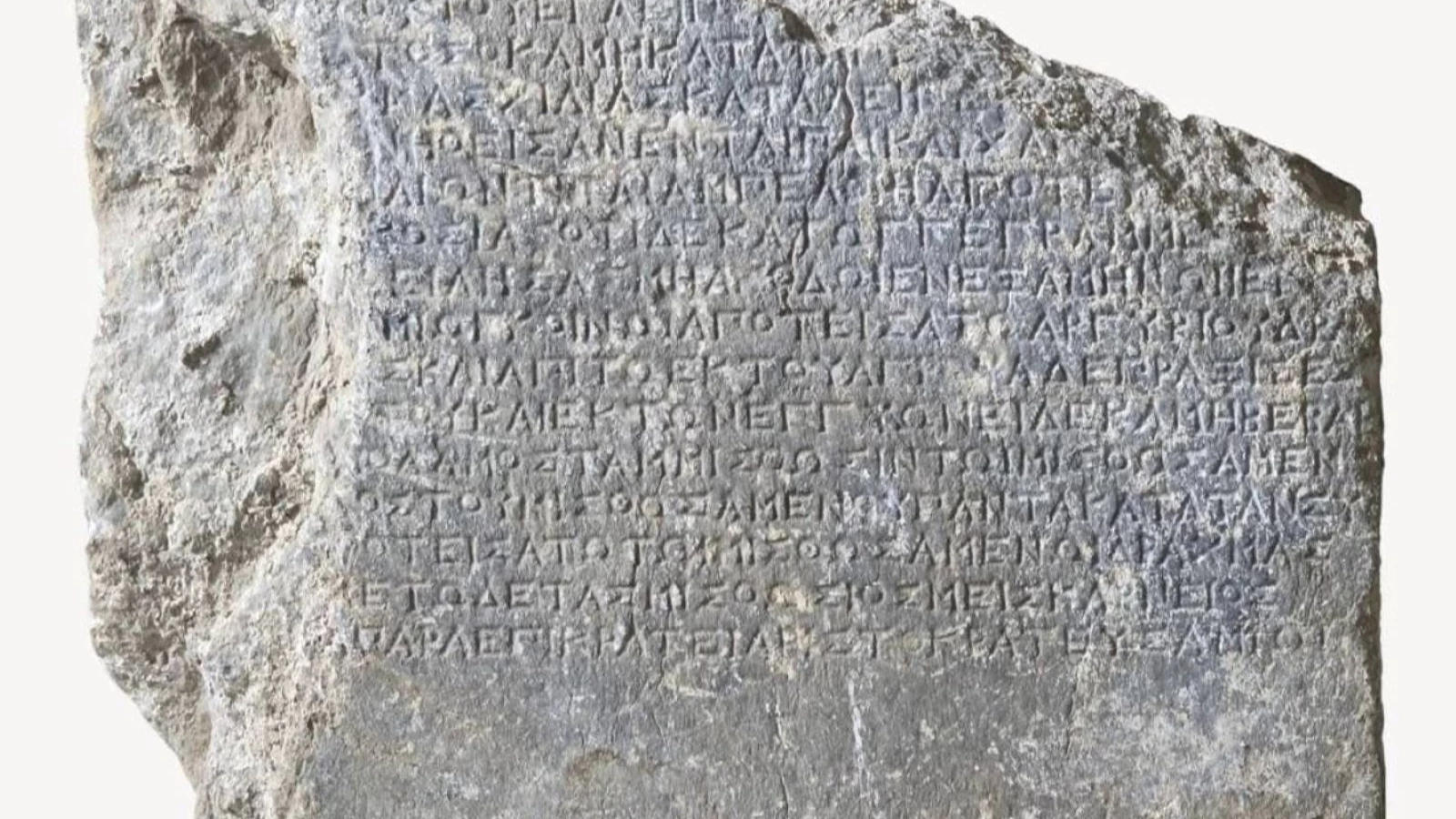 2 thousand 200 years old, found in Fethiye: It brings an obligation to plant trees in return for rent!