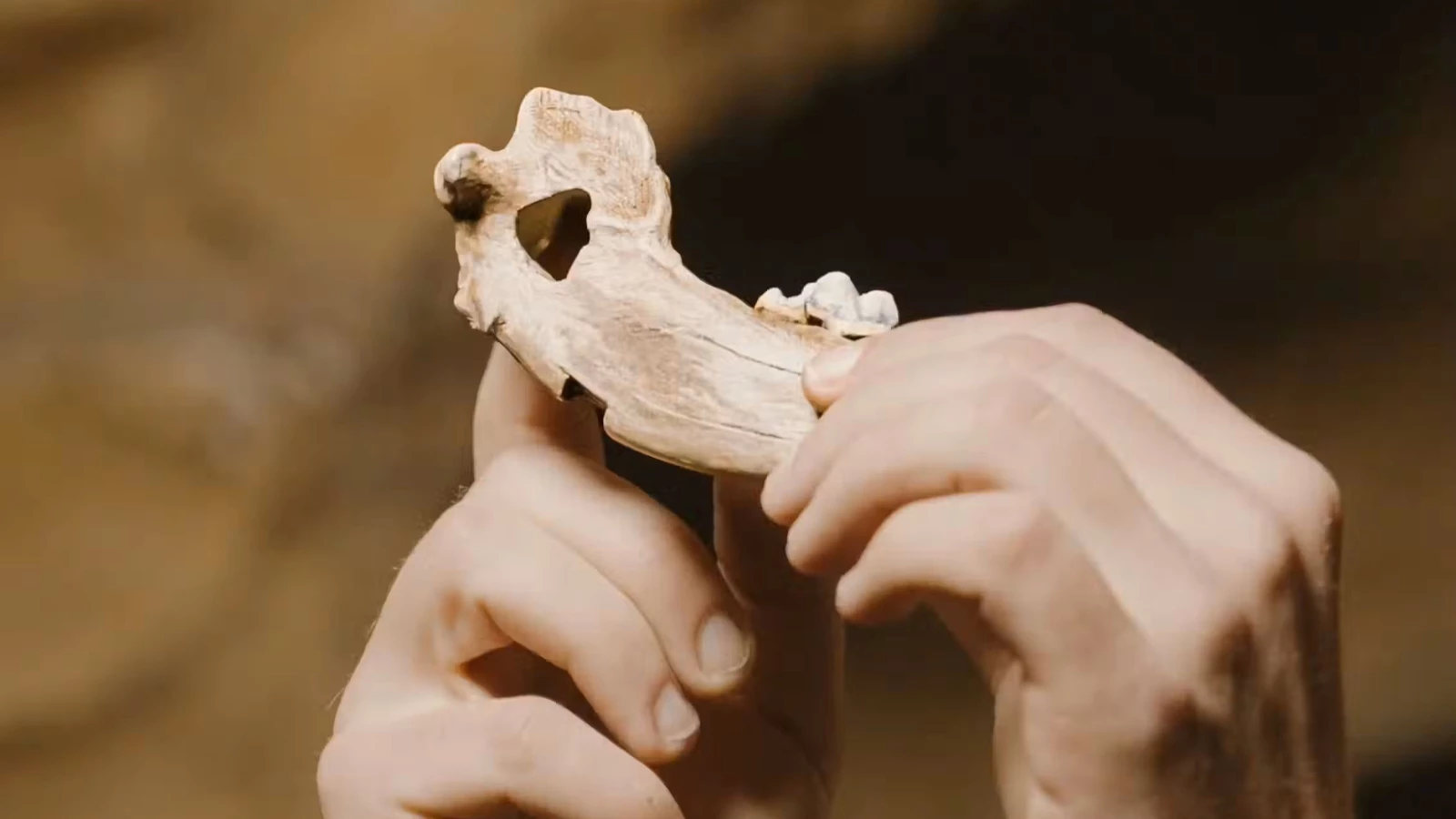 Evidence found in Pınarbaşı in Türkiye: History-changing discovery