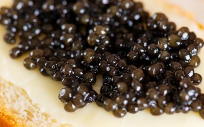 It was the favorite of the rich. Now the whole world will eat from Türkiye!