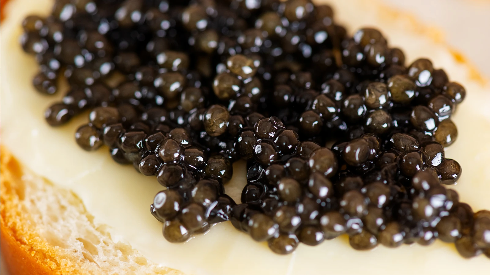 It was the favorite of the rich. Now the whole world will eat from Türkiye!