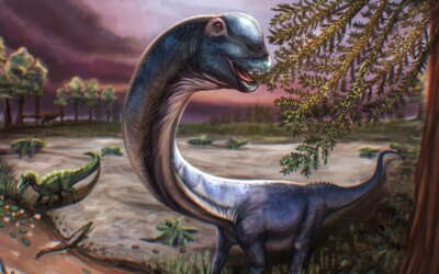 A new dinosaur species has been discovered: 27 meters long, weighing 27 tons