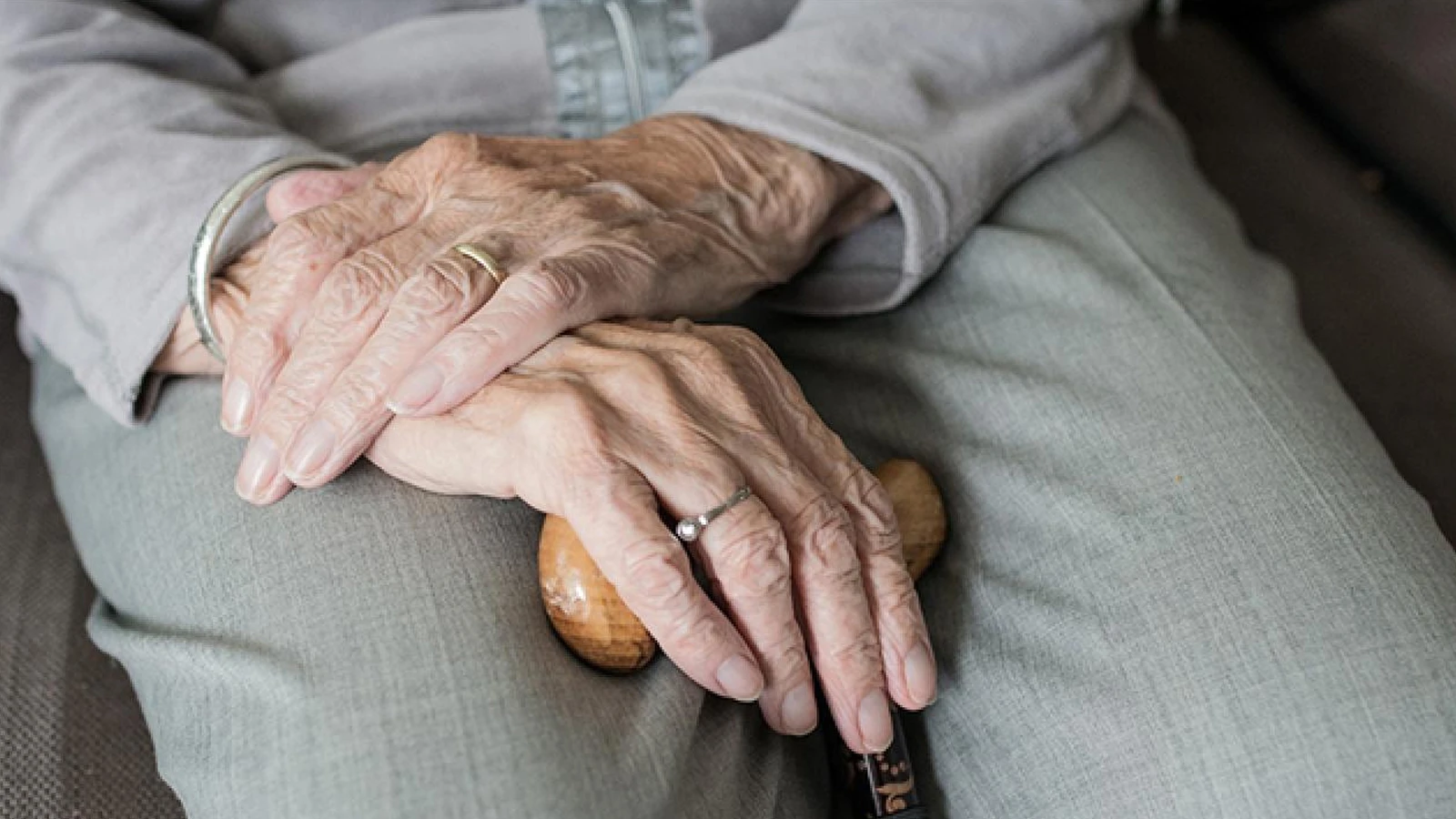 50 million lira support for projects for the elderly