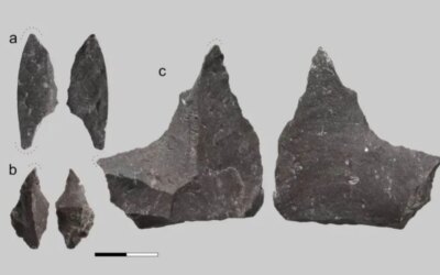 59 thousand-year-old tooth surprised the scientific world: Neanderthals’ treatment method revealed