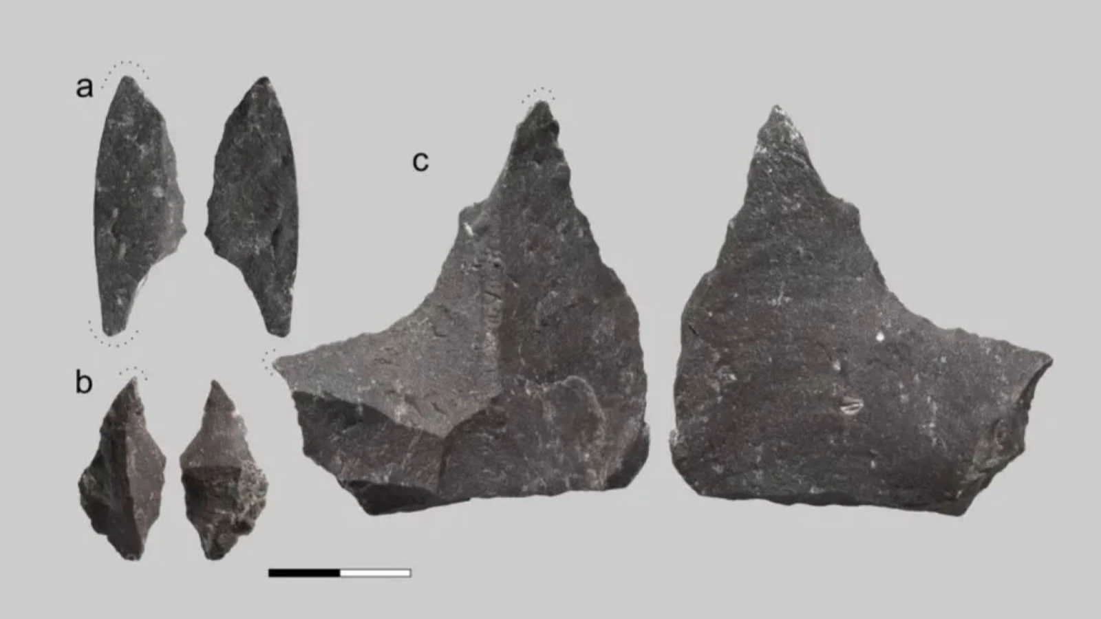 59 thousand-year-old tooth surprised the scientific world: Neanderthals' treatment method revealed