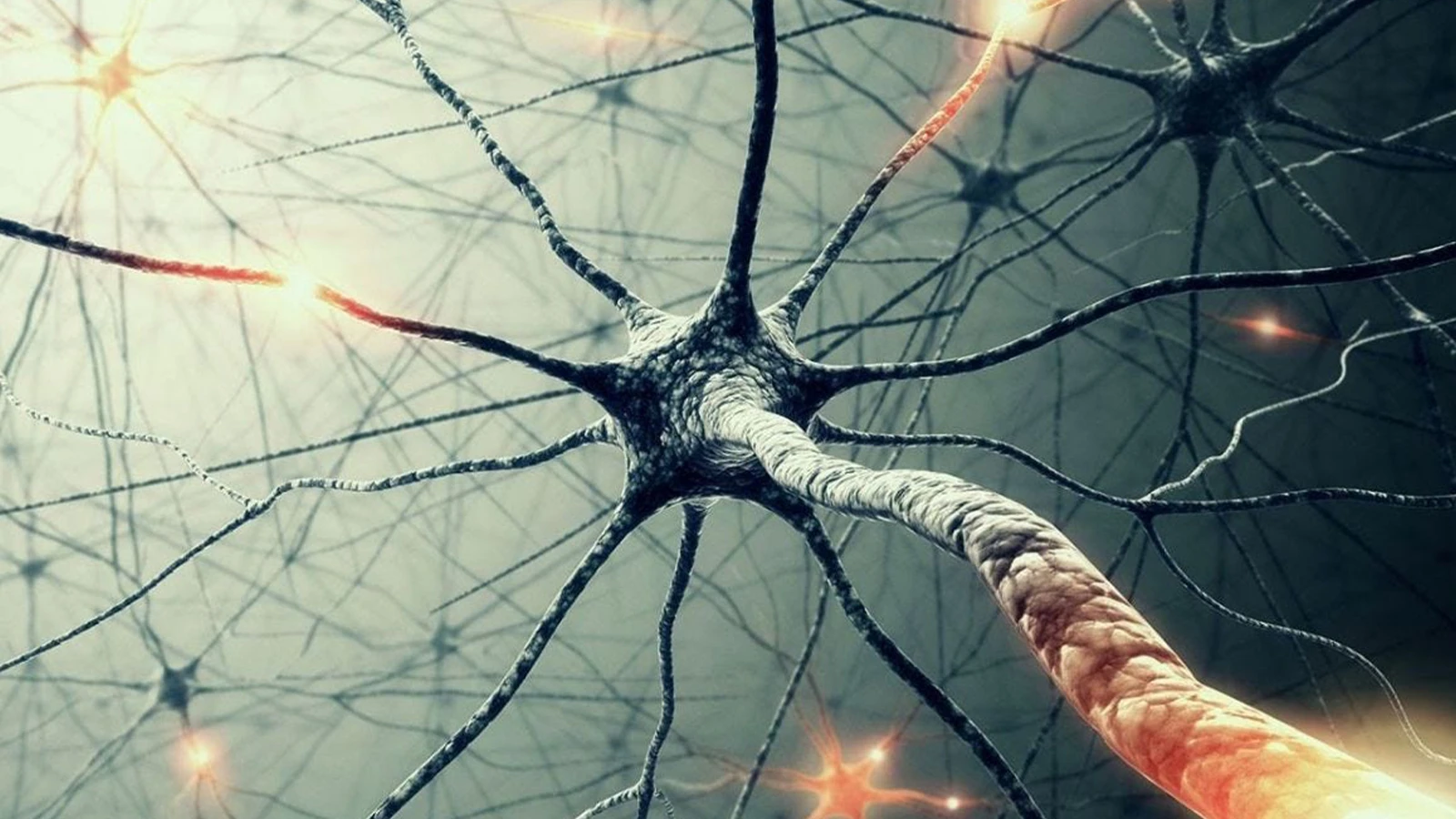 Artificial nerve cells that can communicate with the brain were produced
