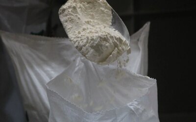 Despite the war, flour exports continued to increase