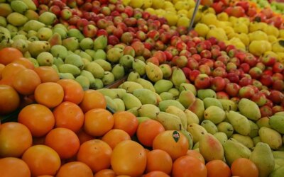 Fruit production is expected to increase by 57.8 percent this year
