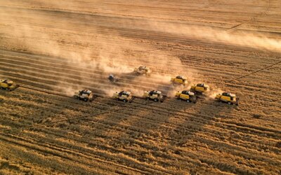 Statement from Soil Products Office: There is no problem in food supply in Türkiye