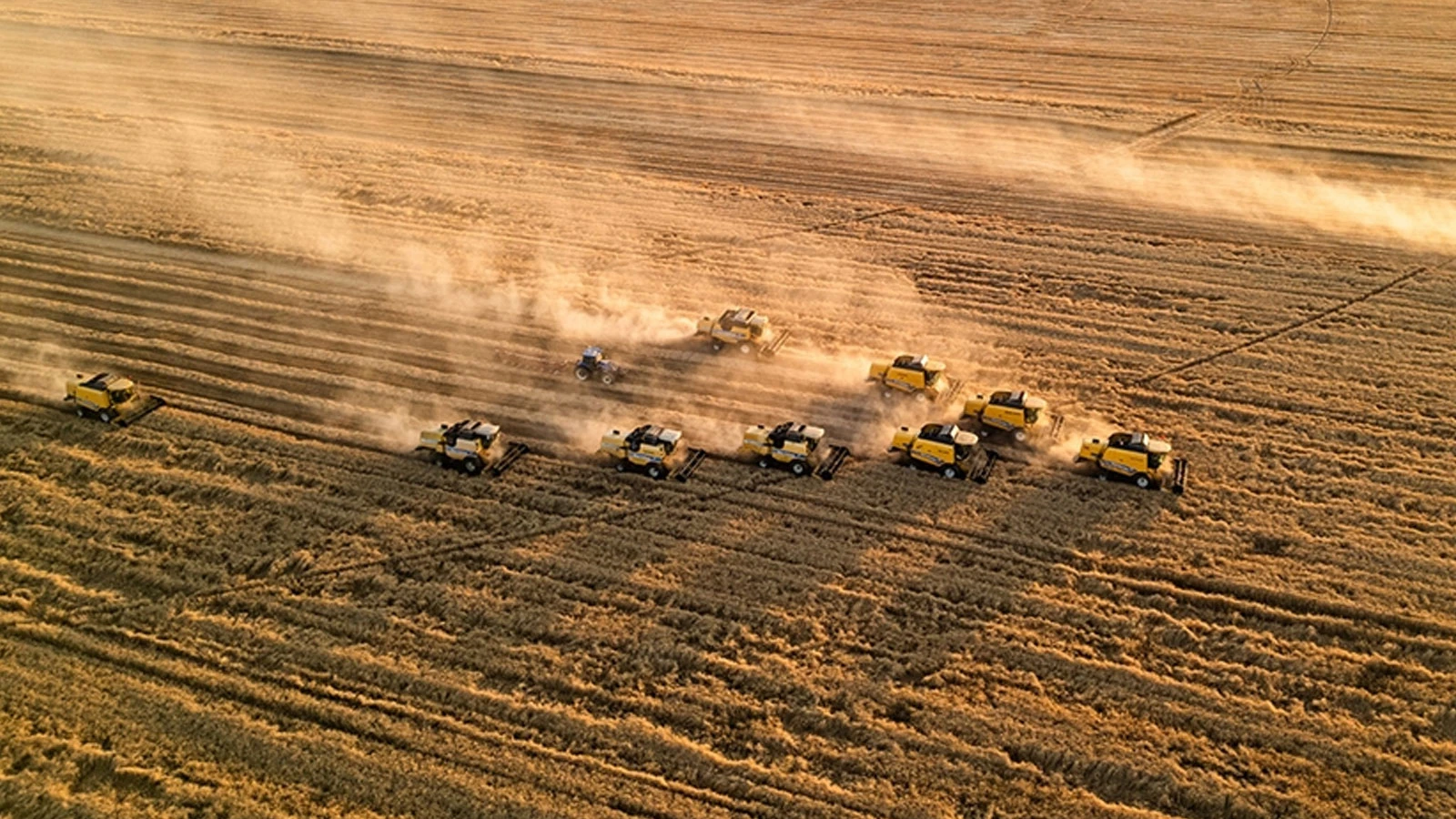 Statement from Soil Products Office: There is no problem in food supply in Türkiye