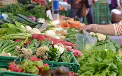 World food prices are at the highest level since February 2023!