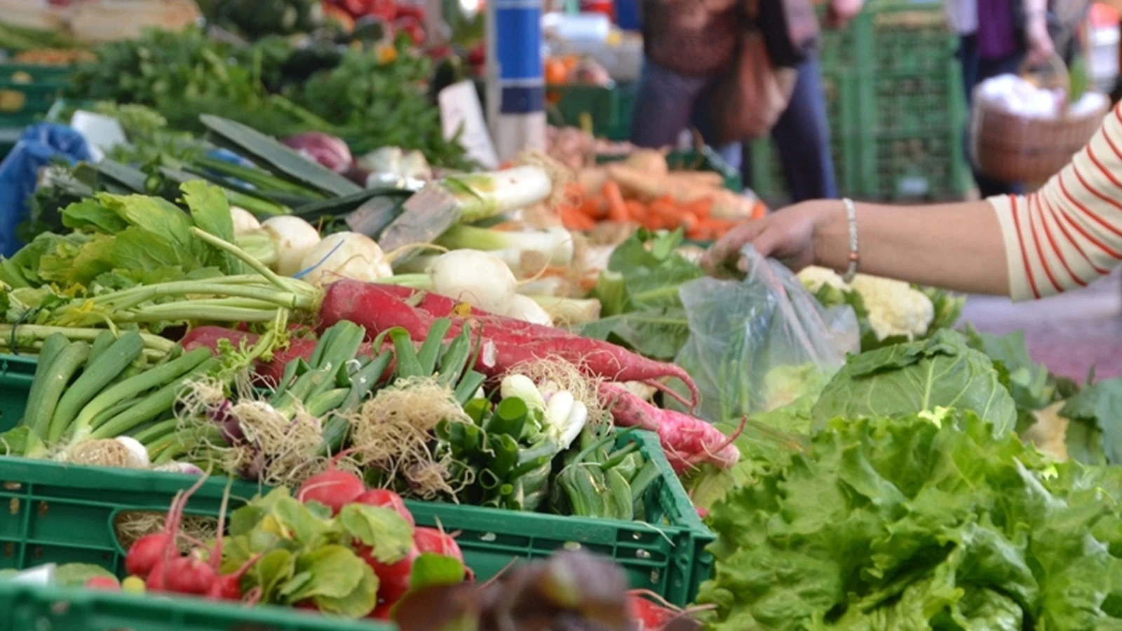 World food prices are at the highest level since February 2023!