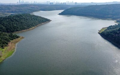 The soil is saturated with water, the highest rainfall in 66 years