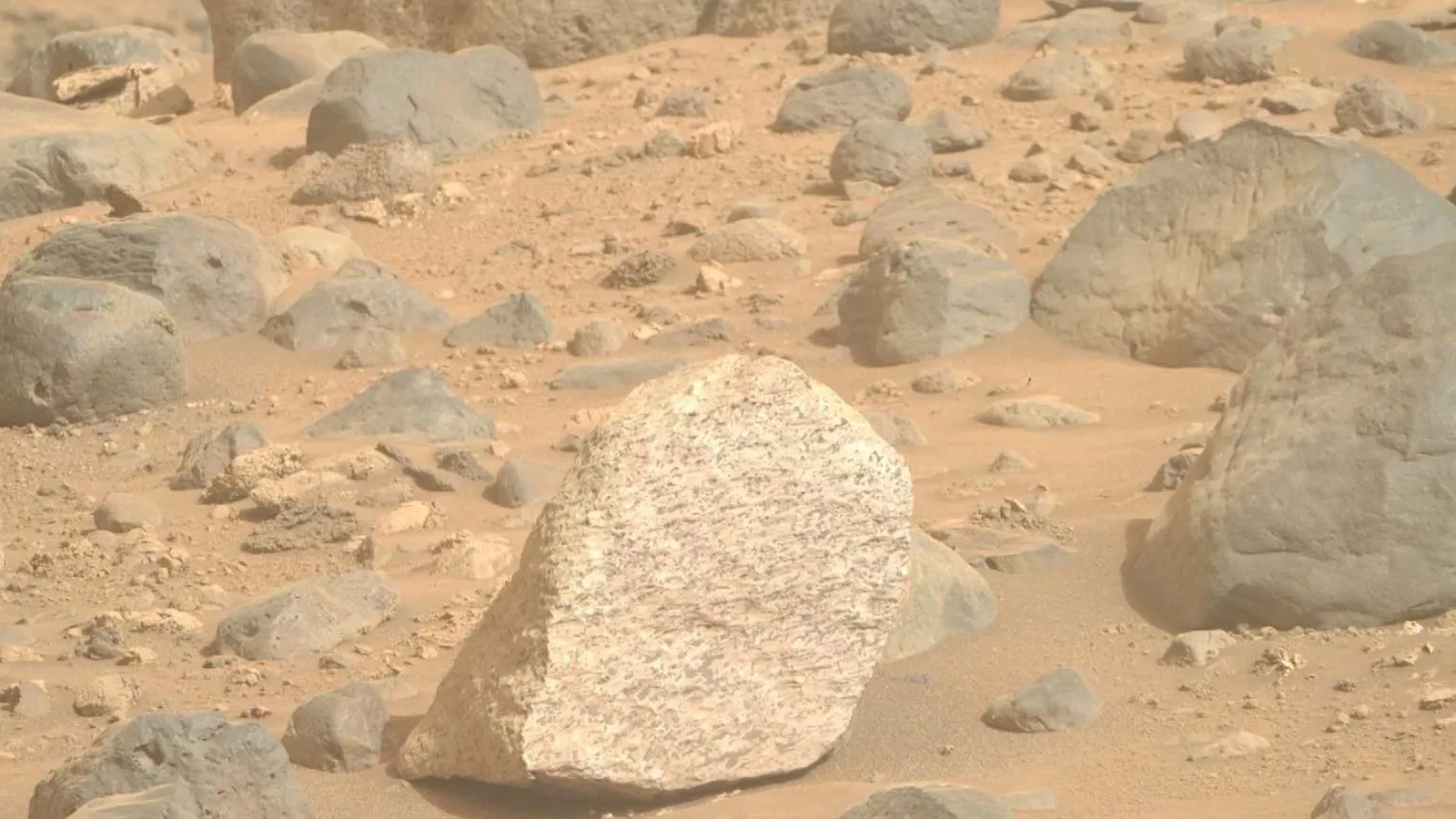 A discovery on Mars that makes you say 'we are not alone'!
