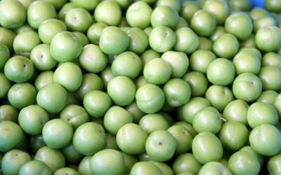 Plums were the most expensive in May