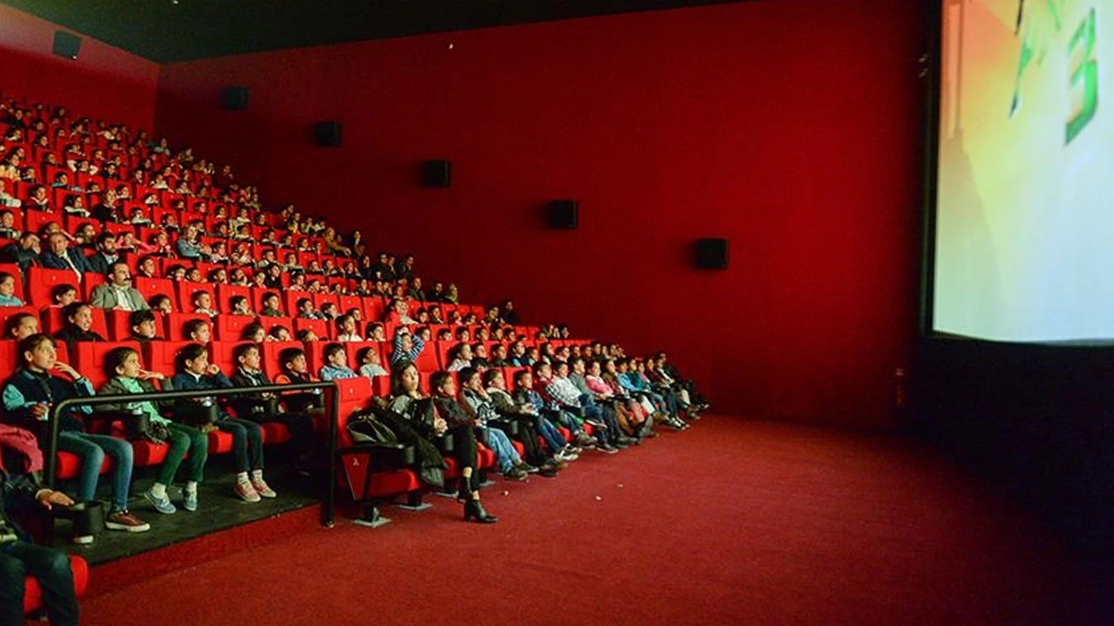 The number of moviegoers in Türkiye approached 28 million