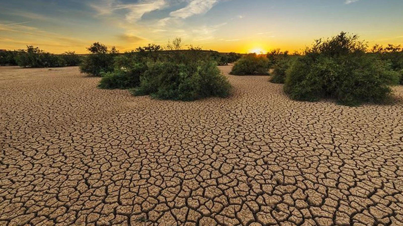 Have we reached the end of the road? The seas are literally boiling