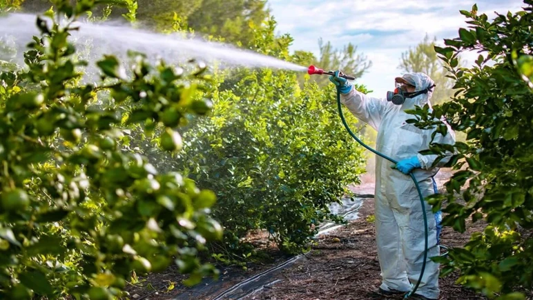 The era of pesticide use and pesticide-laden food will end - Picture: 2