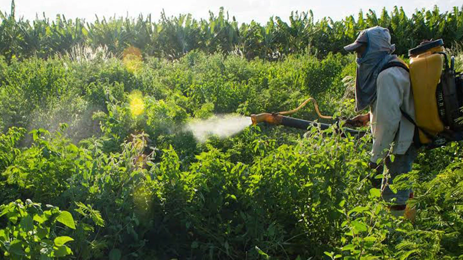 The era of pesticide use and pesticide-laden food will end