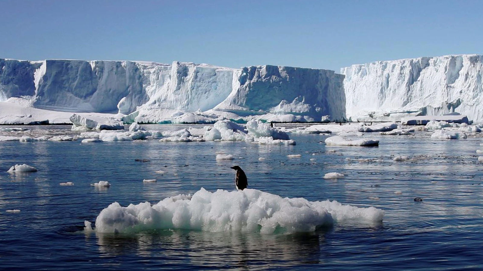 The world is alarming, the threshold has been crossed in the global climate crisis