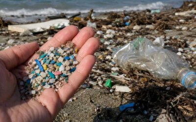 Tears of the Mediterranean! Microplastic is washing up on the shore!