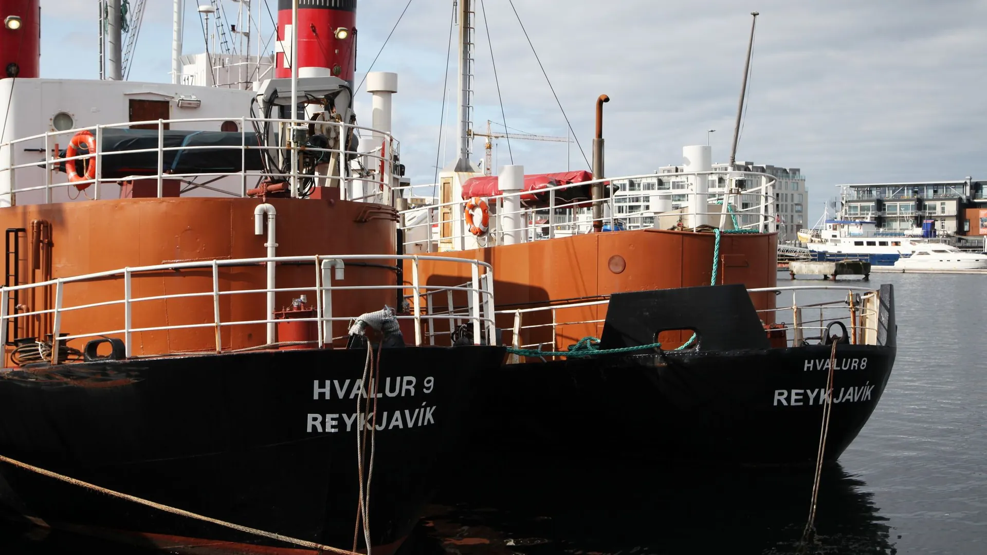 Whaling in Iceland