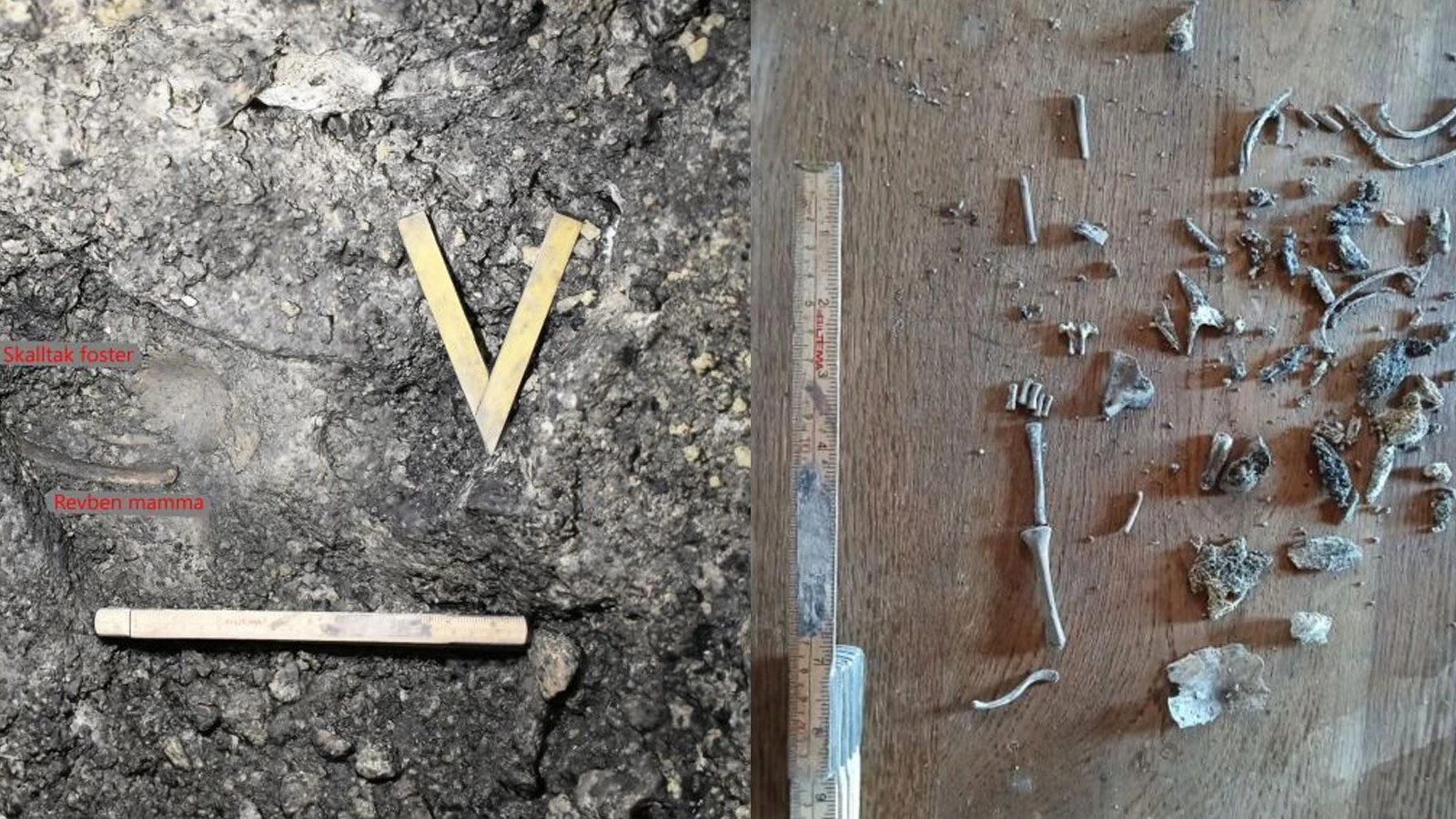 A 9,500-year-old mother and her unborn baby were found!
