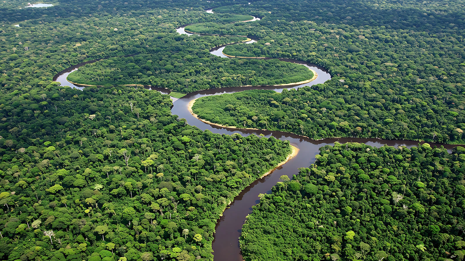 Big secret under the Amazon Forest! Hundreds of hidden structures discovered