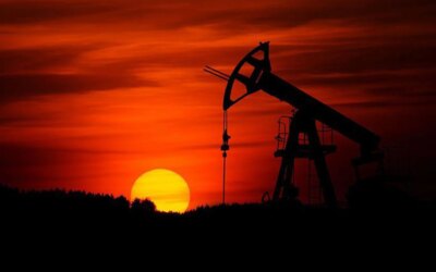 Oil imports decreased in June