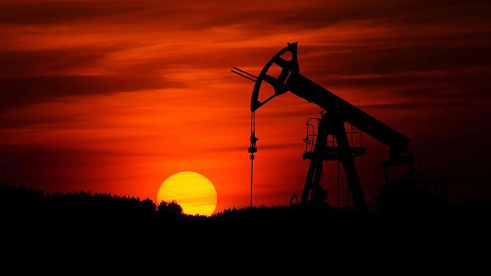 Oil imports decreased in June
