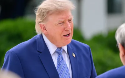 USA: Harsh criticism of Trump’s minced meat plans