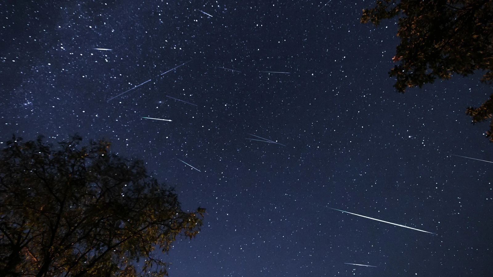 When will the Perseid meteor shower occur? Keep your eyes on the sky!