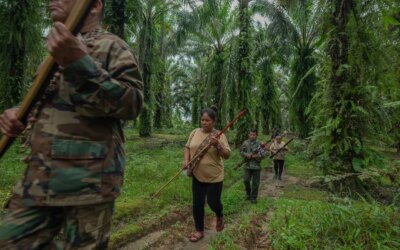 Latin America remains the most dangerous region for environmentalists