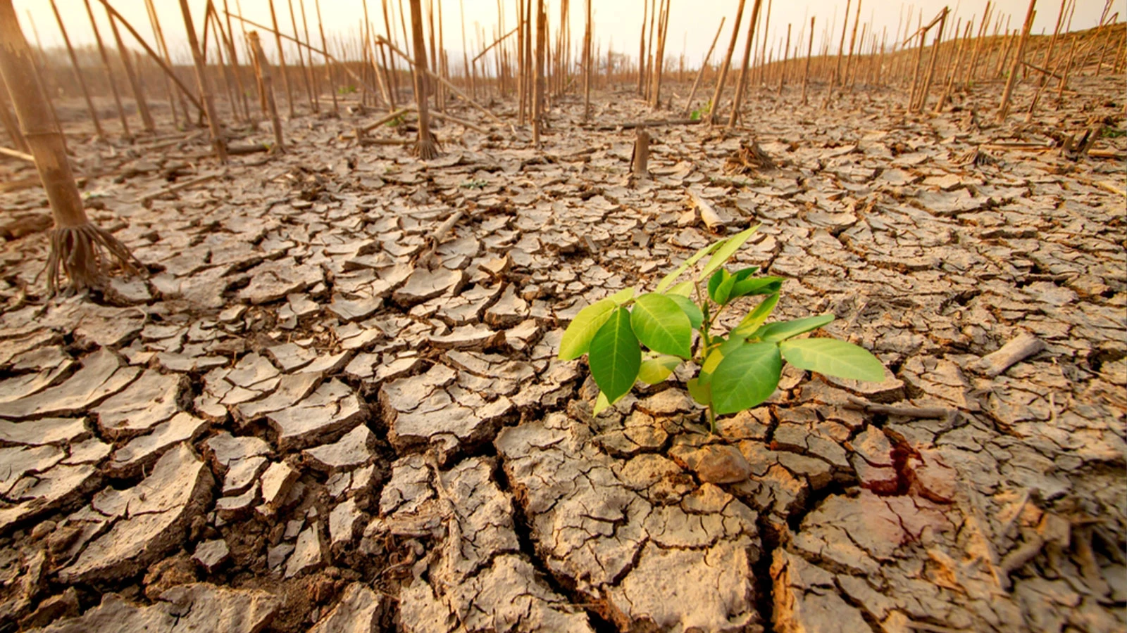 Climate crisis threshold warning from the UN!