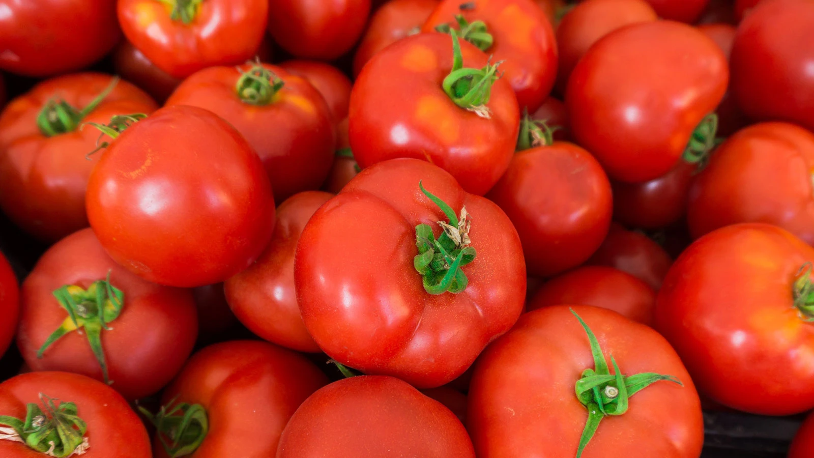 Pesticide is on the agenda, big risk warning for men