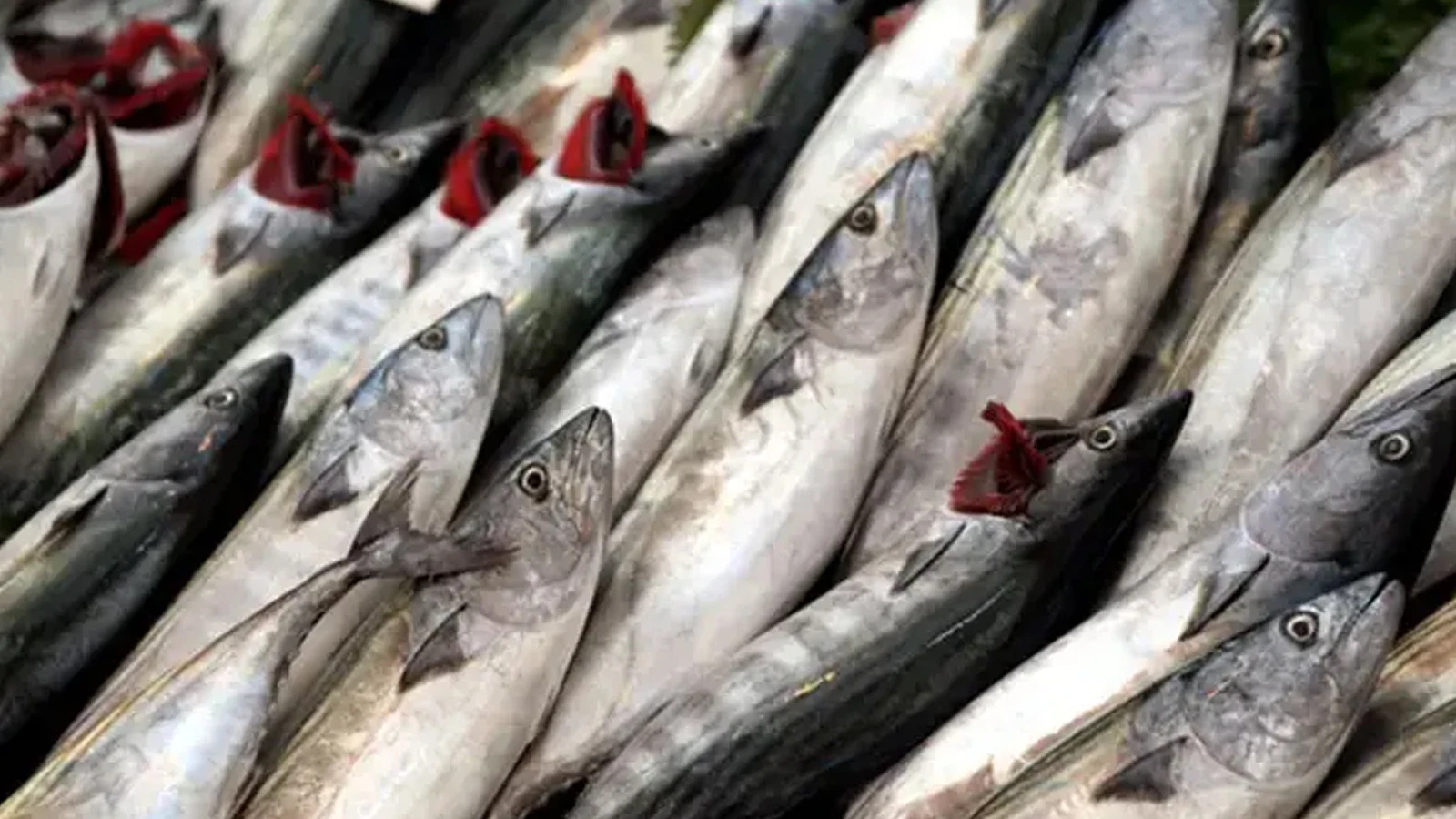 The stalls were filled to the brim: The price per kilo satisfied the citizens