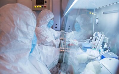 Authority: Investigations in Irkutsk show no cases of plague