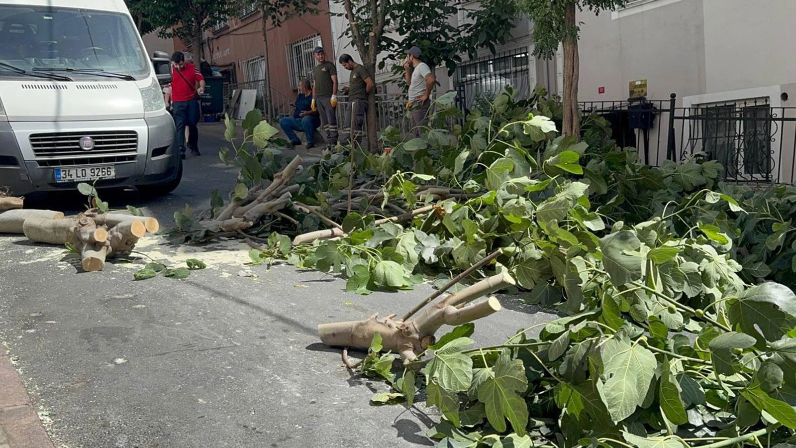 Istanbul's silent danger, solid on the outside, rotten on the inside!