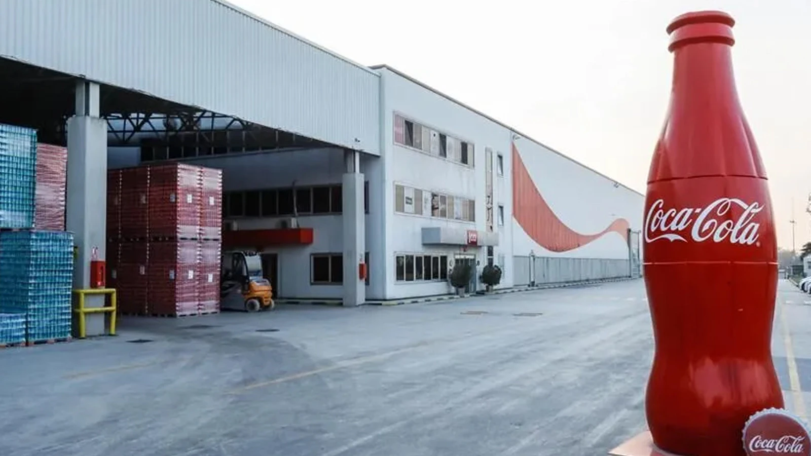 Giant company with hundreds of branches is put up for sale
