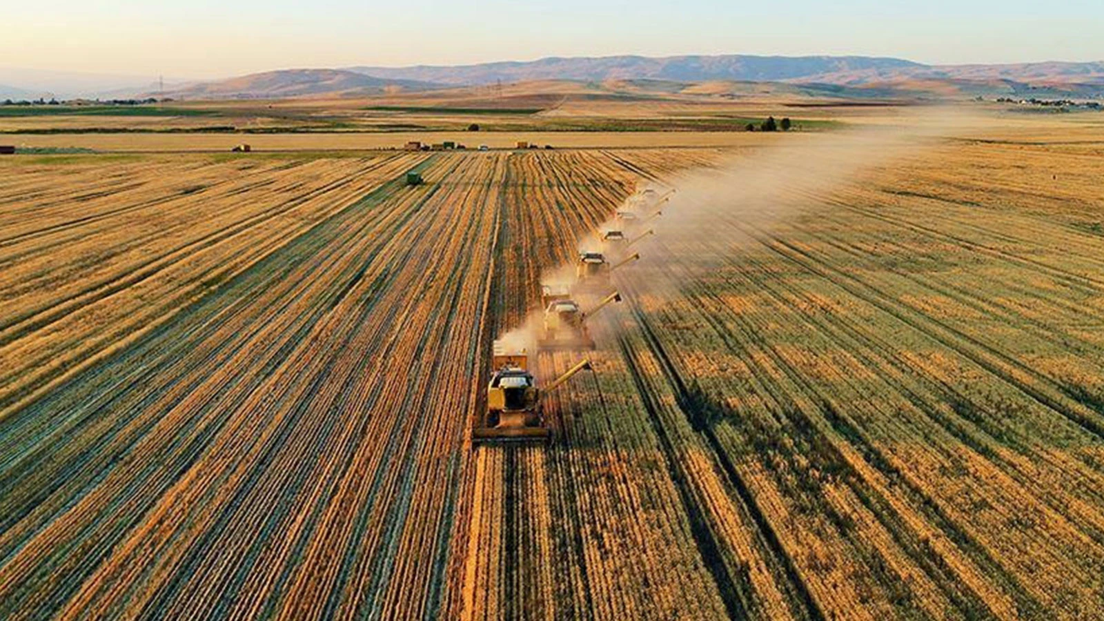 Increase in agricultural input prices